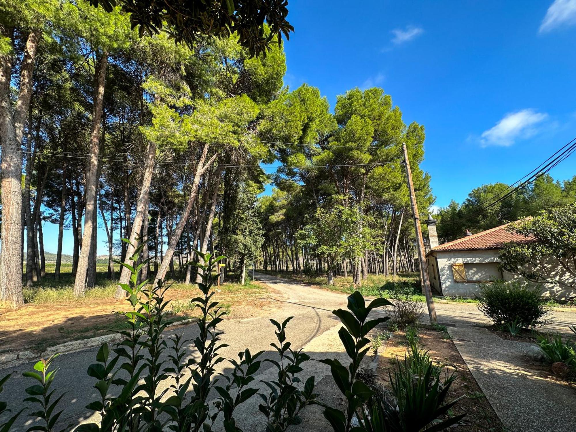 Gasthaus Casa Rural Los Pinos Valmuel Exterior foto